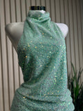 Sequin Dress (large)