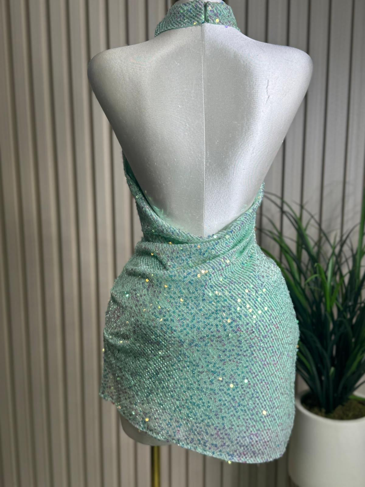 Sequin Dress (large)