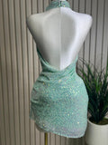 Sequin Dress (large)