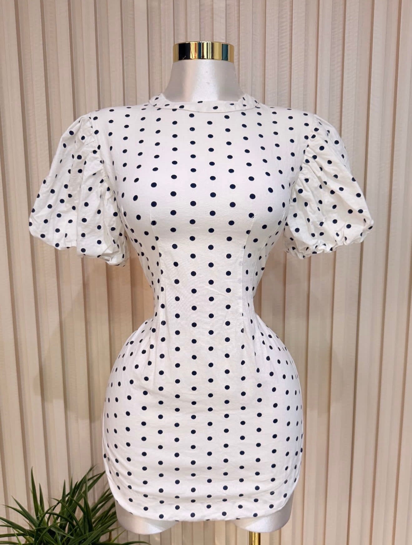 Dress small)