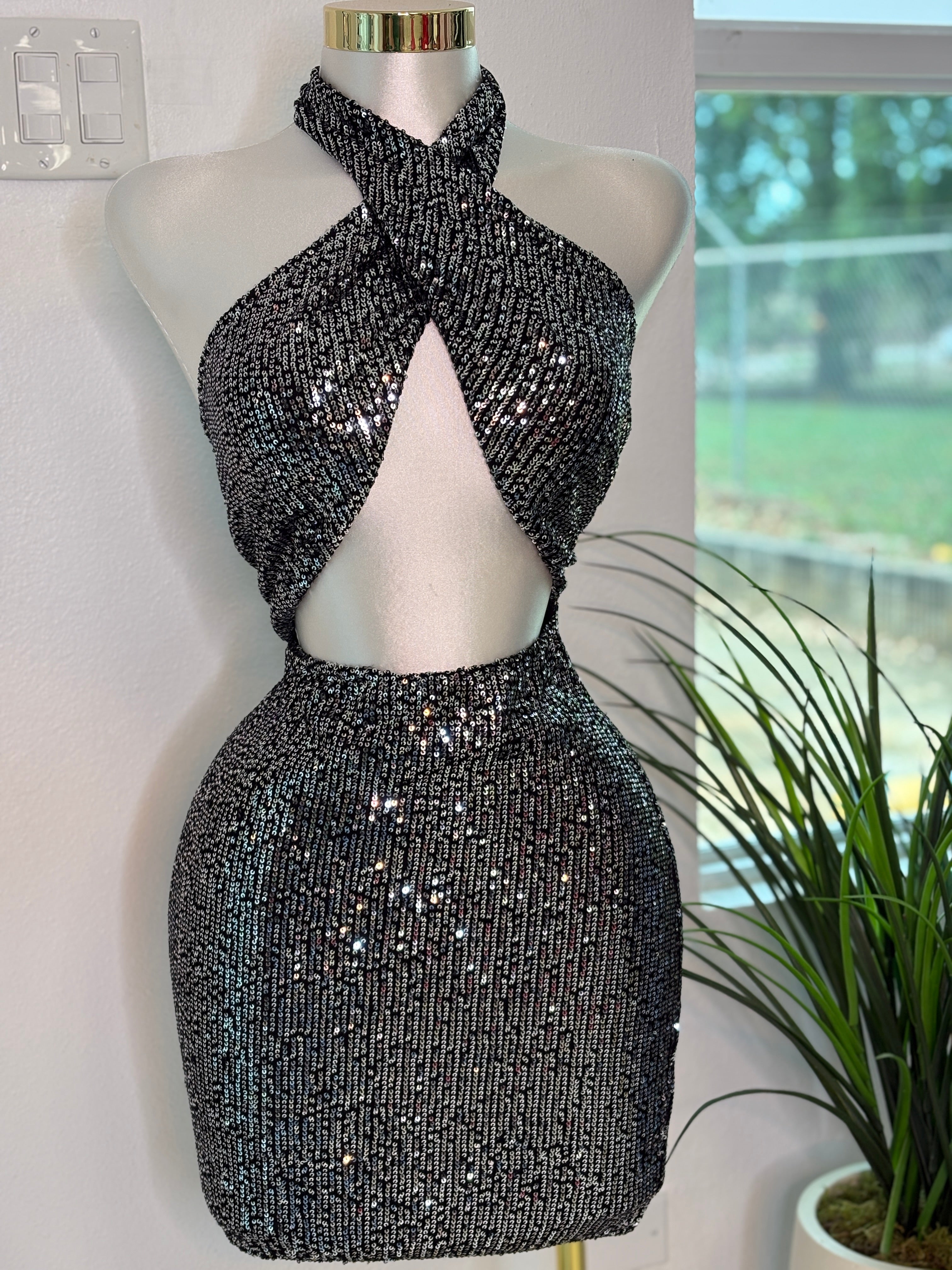 Dress ( Large)