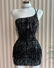 Sequin Dress (Large)
